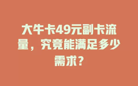 大牛卡49元副卡流量，究竟能满足多少需求？