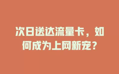 次日送达流量卡，如何成为上网新宠？