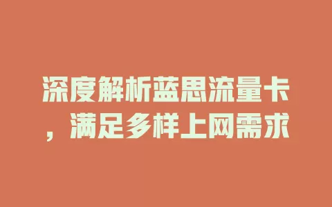 深度解析蓝思流量卡，满足多样上网需求