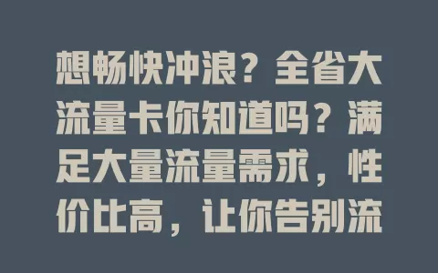 想畅快冲浪？全省大流量卡你知道吗？满足大量流量需求，性价比高，让你告别流量困扰，开启畅游网络之旅
