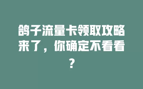 鸽子流量卡领取攻略来了，你确定不看看？