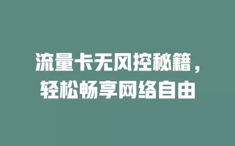 流量卡无风控秘籍，轻松畅享网络自由