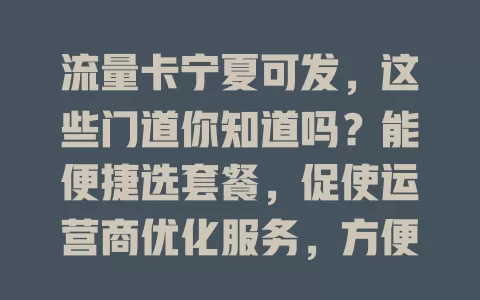 流量卡宁夏可发，这些门道你知道吗？能便捷选套餐，促使运营商优化服务，方便对比挑选，选时要谨慎，理性选才能畅享优质流量服务上网冲浪