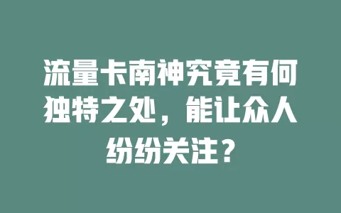 流量卡南神究竟有何独特之处，能让众人纷纷关注？
