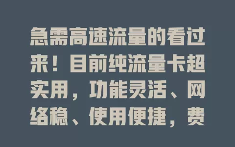 急需高速流量的看过来！目前纯流量卡超实用，功能灵活、网络稳、使用便捷，费用透明，是流量不足或费高者的性价比之选