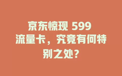 京东惊现 599 流量卡，究竟有何特别之处？