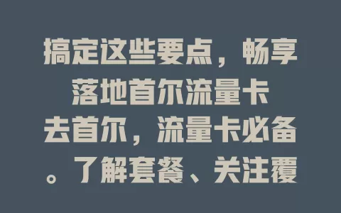 搞定这些要点，畅享落地首尔流量卡

去首尔，流量卡必备。了解套餐、关注覆盖、考量性价比，做好这些，轻松拥有便捷网络体验，尽享首尔网络时光
