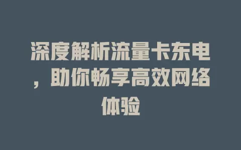 深度解析流量卡东电，助你畅享高效网络体验