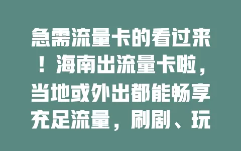 急需流量卡的看过来！海南出流量卡啦，当地或外出都能畅享充足流量，刷剧、玩游戏、移动办公超方便！