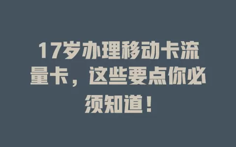 17岁办理移动卡流量卡，这些要点你必须知道！