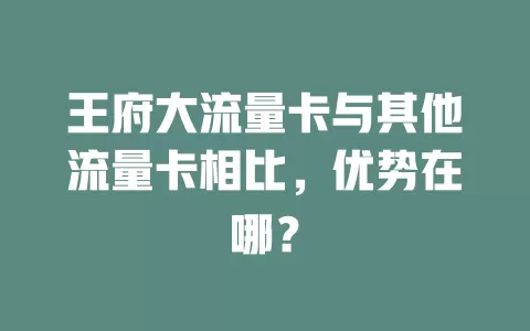 王府大流量卡与其他流量卡相比，优势在哪？