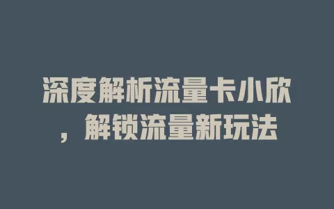 深度解析流量卡小欣，解锁流量新玩法