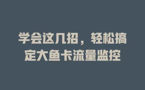 学会这几招，轻松搞定大鱼卡流量监控