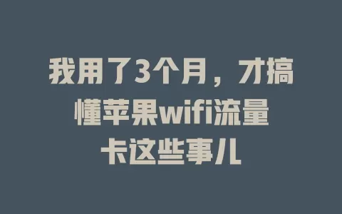 我用了3个月，才搞懂苹果wifi流量卡这些事儿