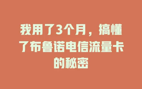 我用了3个月，搞懂了布鲁诺电信流量卡的秘密