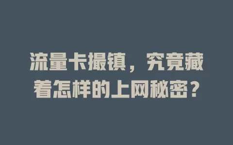 流量卡撮镇，究竟藏着怎样的上网秘密？