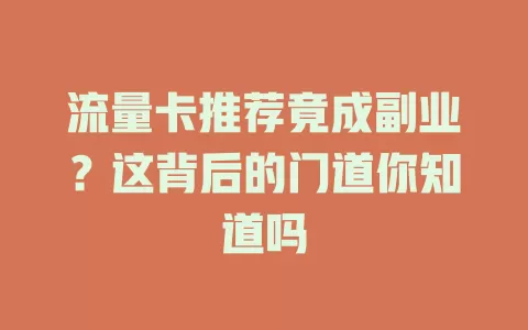 流量卡推荐竟成副业？这背后的门道你知道吗