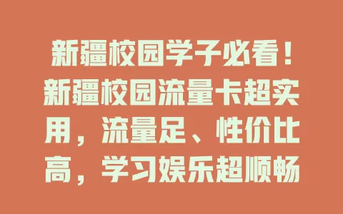 新疆校园学子必看！新疆校园流量卡超实用，流量足、性价比高，学习娱乐超顺畅