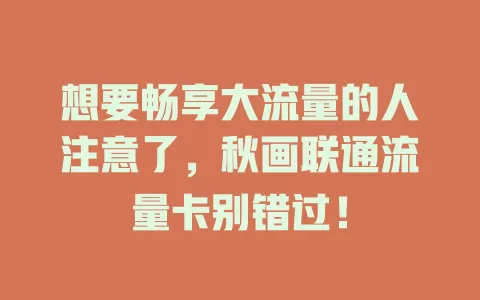 想要畅享大流量的人注意了，秋画联通流量卡别错过！