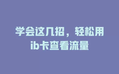 学会这几招，轻松用ib卡查看流量