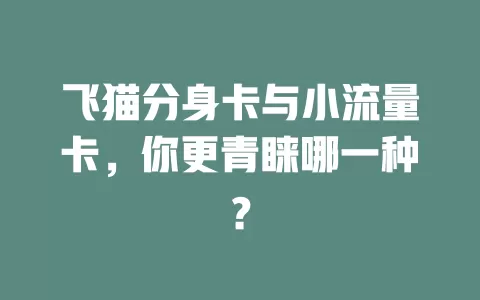 飞猫分身卡与小流量卡，你更青睐哪一种？