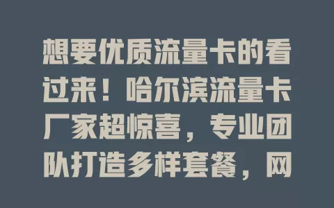 想要优质流量卡的看过来！哈尔滨流量卡厂家超惊喜，专业团队打造多样套餐，网络稳定，服务贴心，给你高效便捷体验