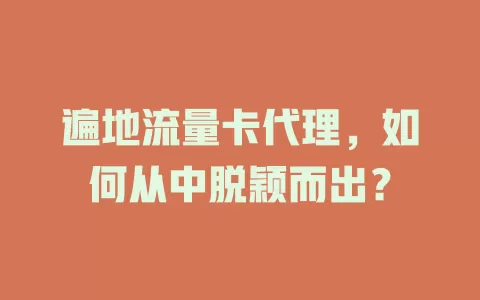 遍地流量卡代理，如何从中脱颖而出？