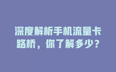 深度解析手机流量卡路桥，你了解多少？