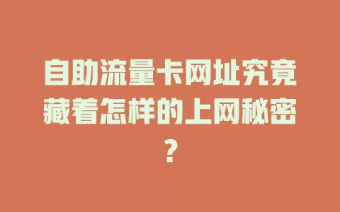 自助流量卡网址究竟藏着怎样的上网秘密？