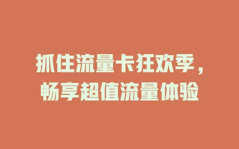 抓住流量卡狂欢季，畅享超值流量体验