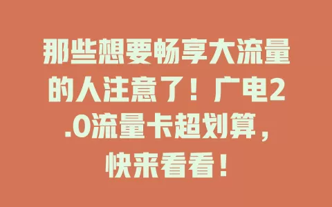 那些想要畅享大流量的人注意了！广电2.0流量卡超划算，快来看看！