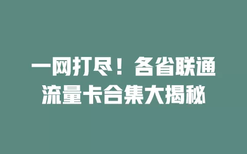一网打尽！各省联通流量卡合集大揭秘