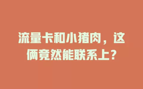 流量卡和小猪肉，这俩竟然能联系上？