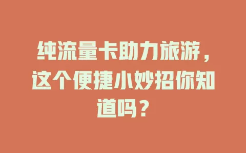 纯流量卡助力旅游，这个便捷小妙招你知道吗？