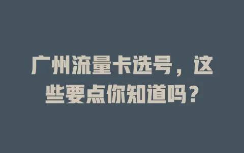 广州流量卡选号，这些要点你知道吗？