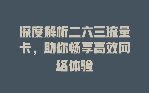 深度解析二六三流量卡，助你畅享高效网络体验
