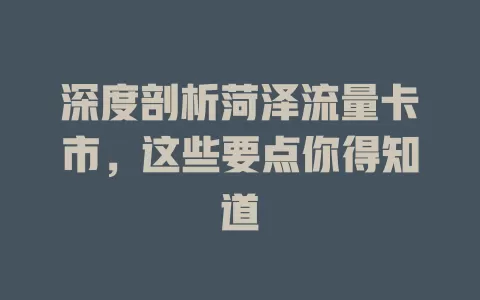 深度剖析菏泽流量卡市，这些要点你得知道