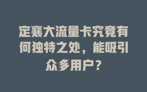 定襄大流量卡究竟有何独特之处，能吸引众多用户？