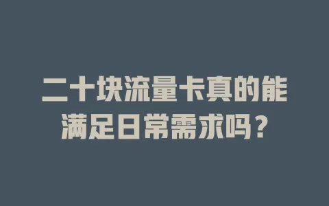 二十块流量卡真的能满足日常需求吗？