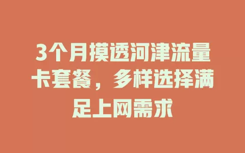 3个月摸透河津流量卡套餐，多样选择满足上网需求