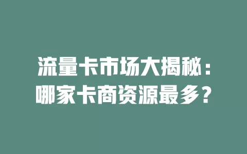 流量卡市场大揭秘：哪家卡商资源最多？