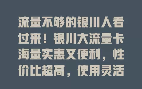 流量不够的银川人看过来！银川大流量卡海量实惠又便利，性价比超高，使用灵活，手续简便，告别流量焦虑畅享网络精彩