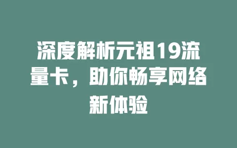 深度解析元祖19流量卡，助你畅享网络新体验