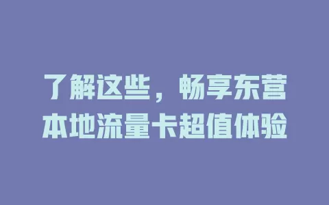 了解这些，畅享东营本地流量卡超值体验