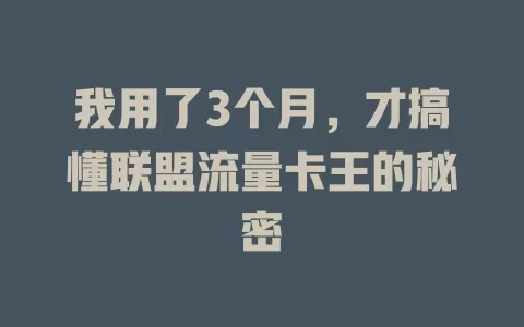 我用了3个月，才搞懂联盟流量卡王的秘密