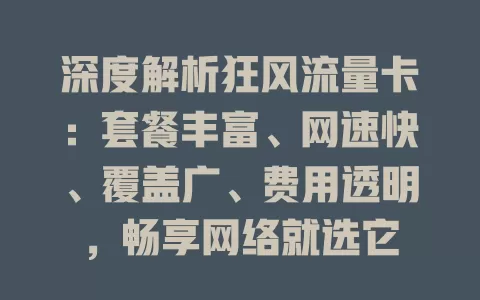 深度解析狂风流量卡：套餐丰富、网速快、覆盖广、费用透明，畅享网络就选它