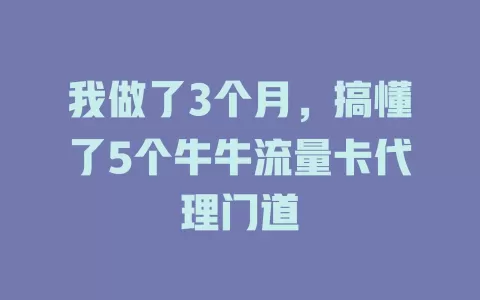 我做了3个月，搞懂了5个牛牛流量卡代理门道