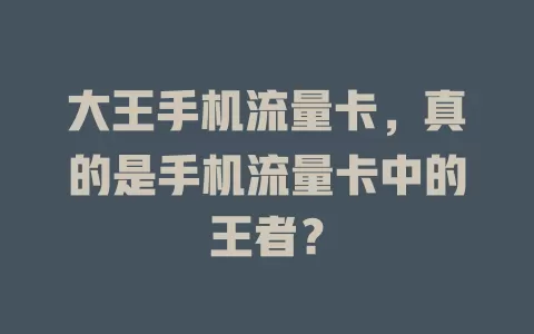 大王手机流量卡，真的是手机流量卡中的王者？
