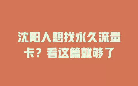 沈阳人想找永久流量卡？看这篇就够了