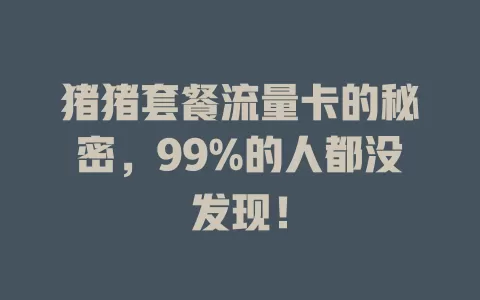 猪猪套餐流量卡的秘密，99%的人都没发现！